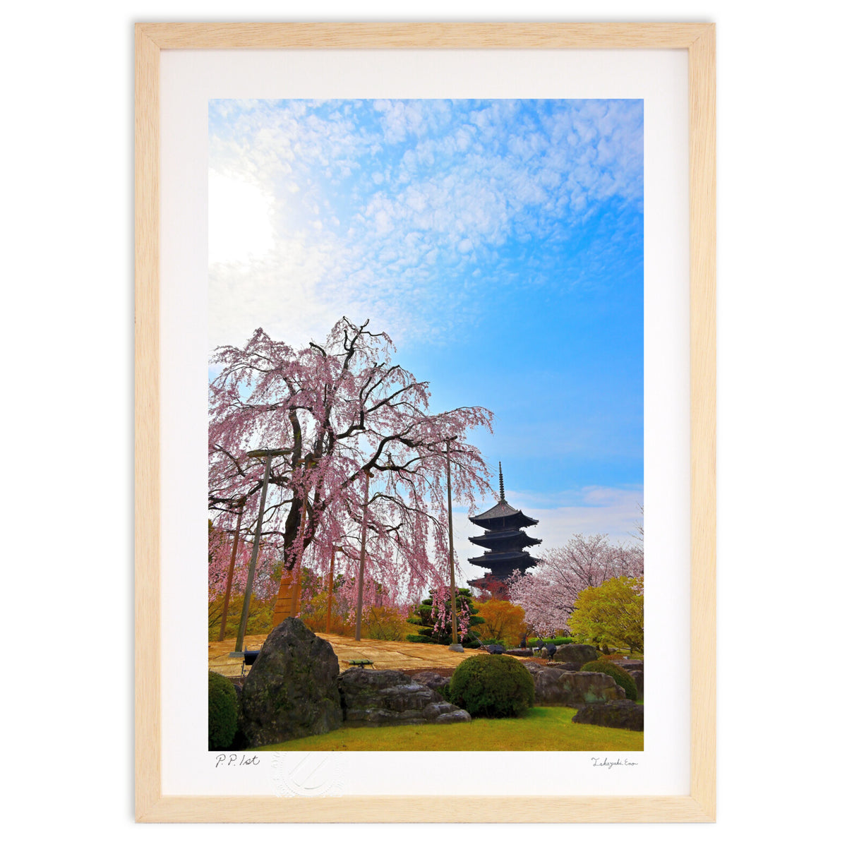 京都の春
