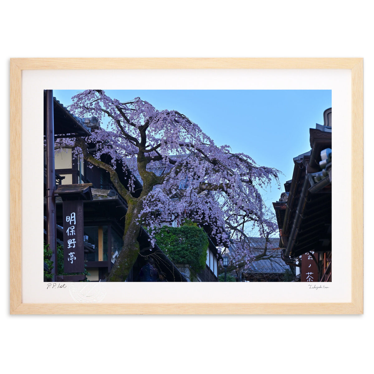 これが見納め
