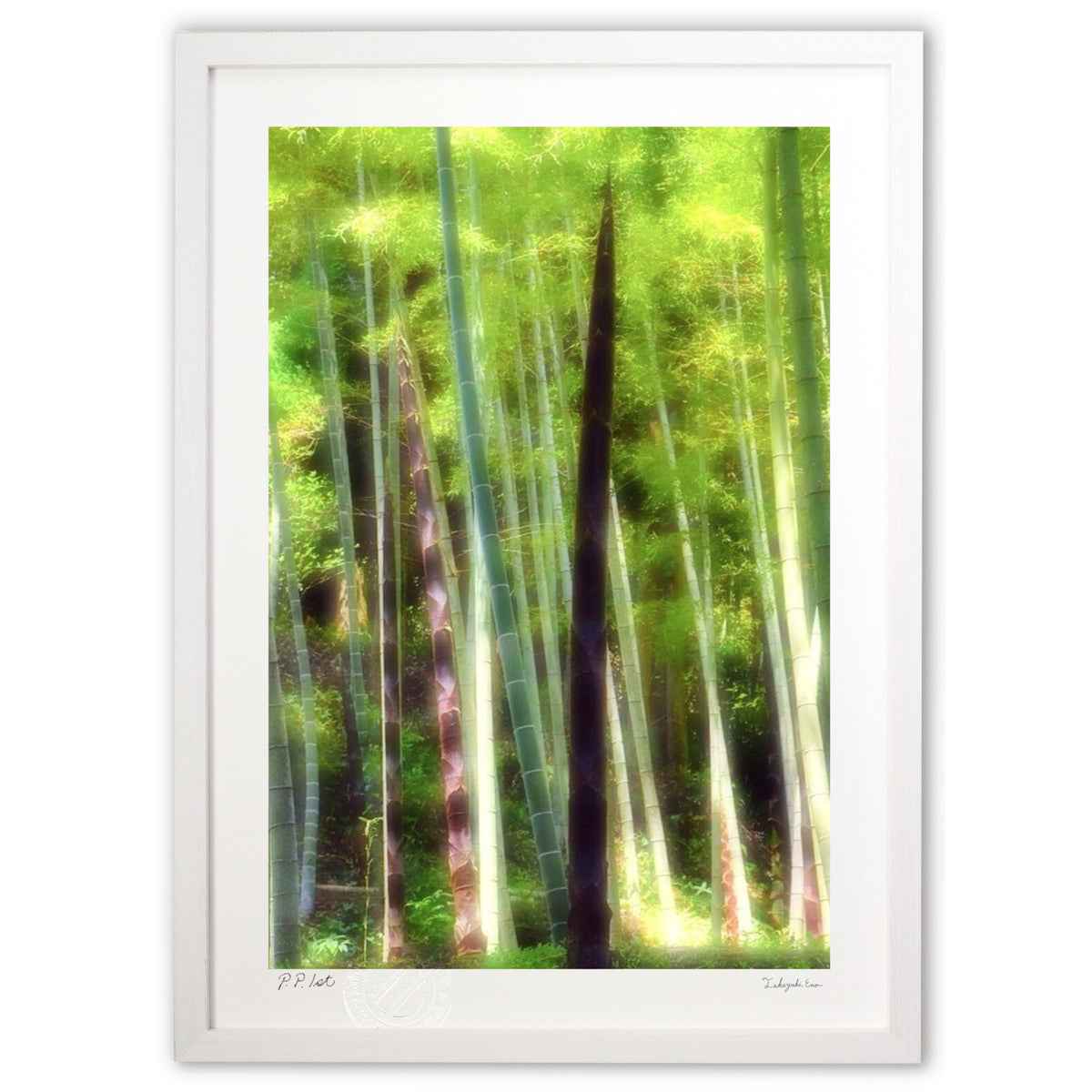 The Tale of the Bamboo Cutter