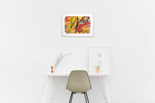 Autumn leaves in Kyoto