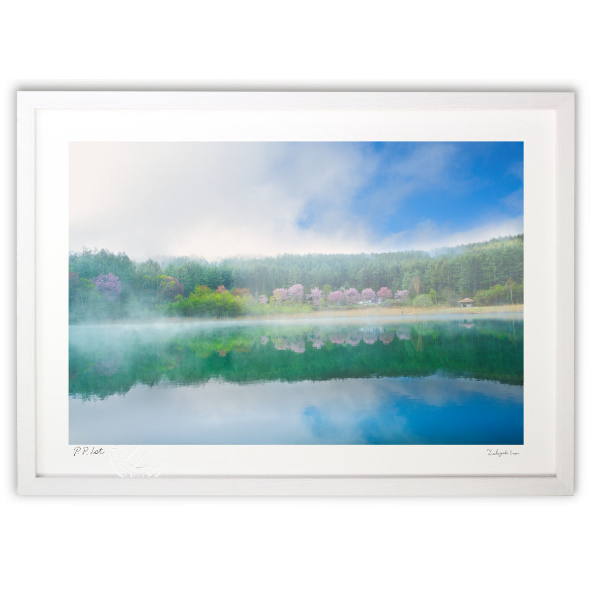 Wrapped in morning mist