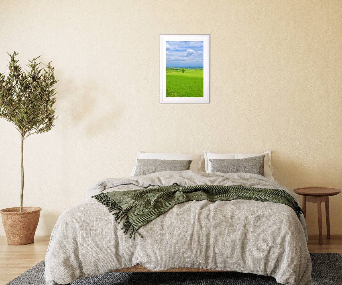 A single tree in the grassland