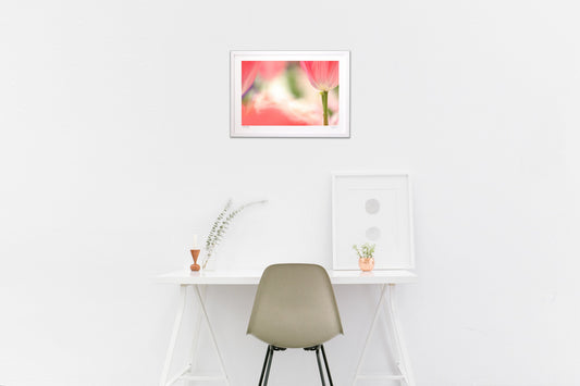 理想のやさしさ