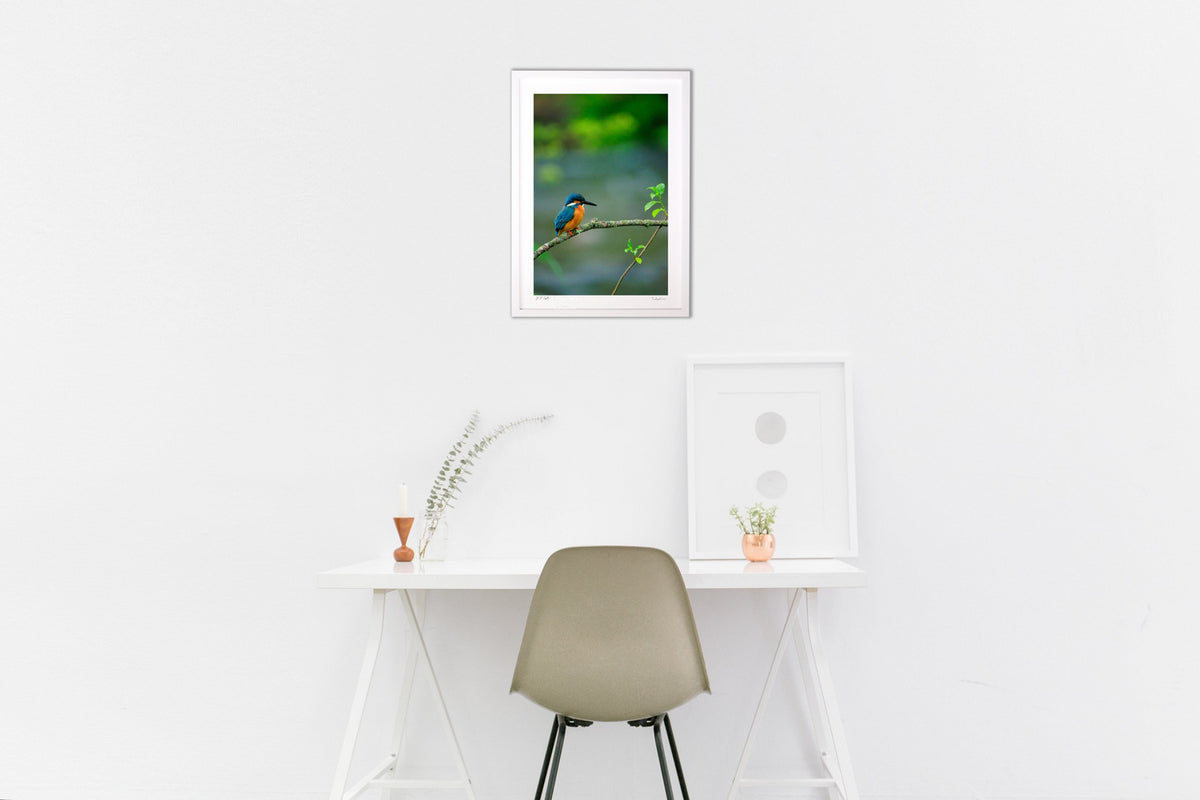 Kingfisher (vertical)