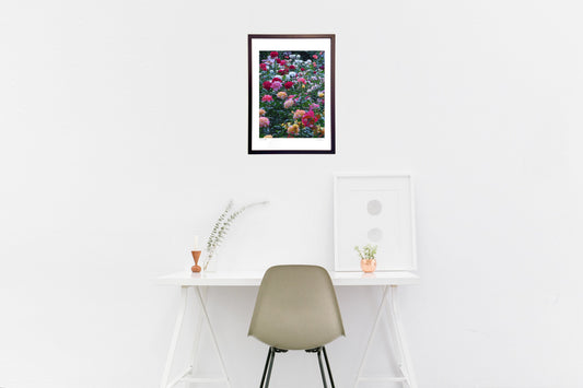 花の女王・バラ🌹