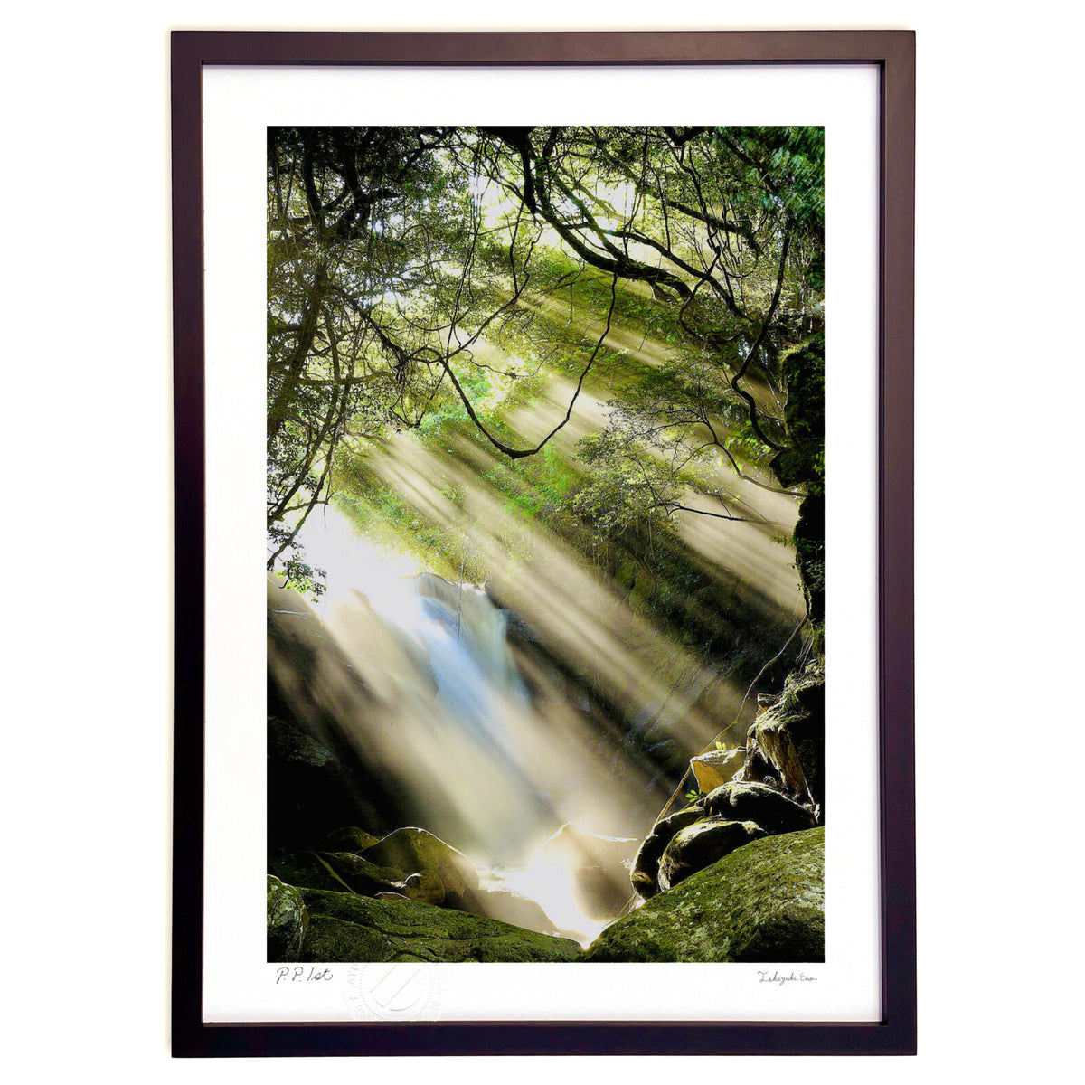 Midsummer Light