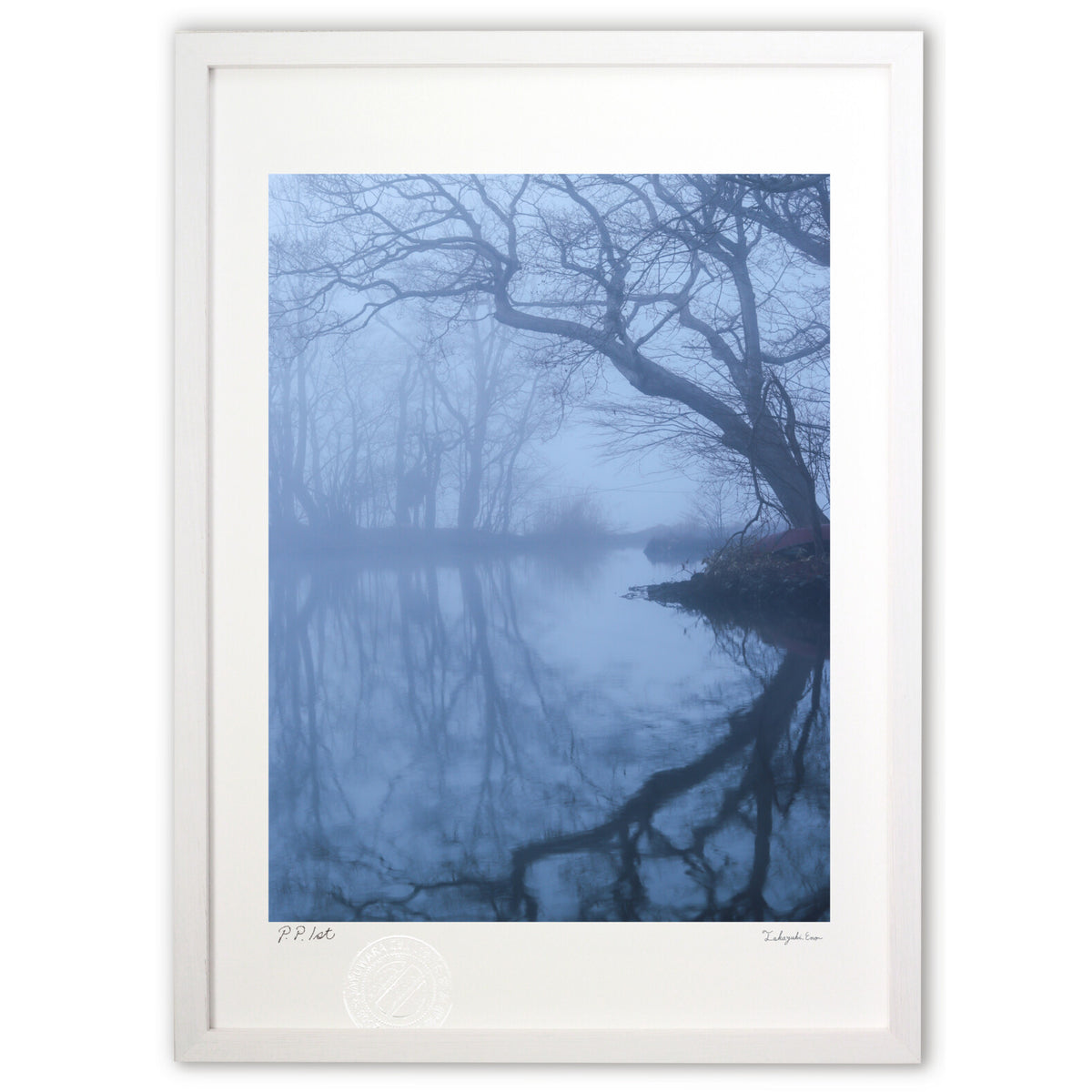One morning in the swamp
