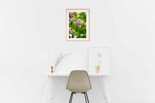 薄曇りの午後に