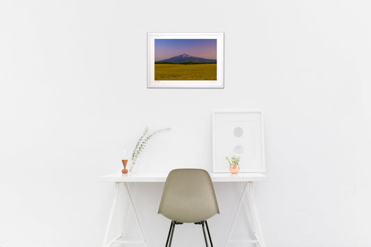 菜の花と岩木山