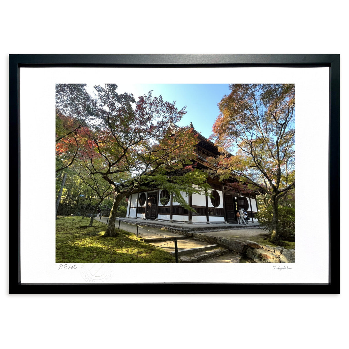 The beginning of autumn leaves