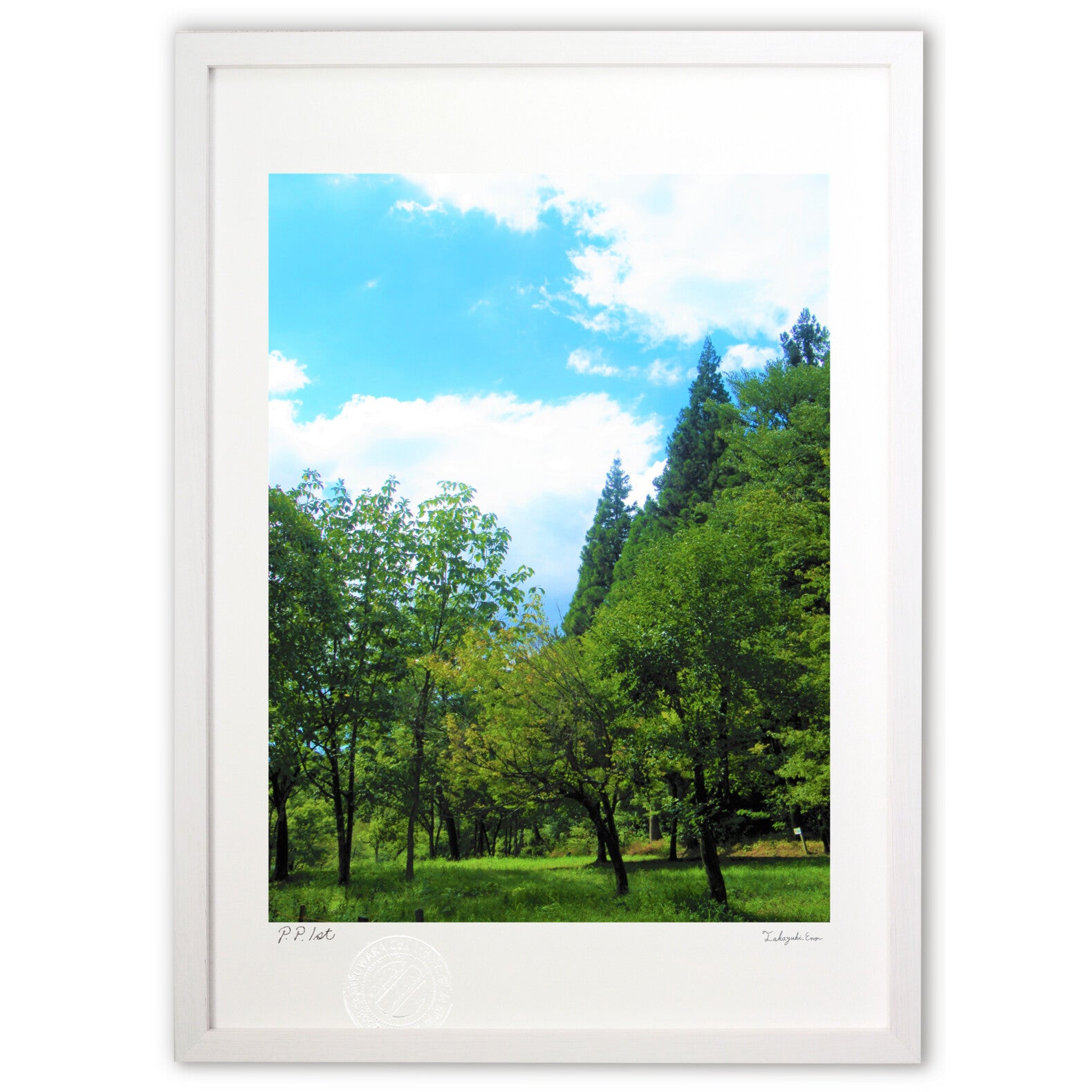 写真 雨上がりの森林 （縦） – 絵画や壁飾り販売｜風景投稿販売あゆわら(R)