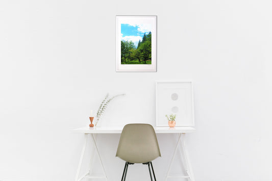 写真 雨上がりの森林 (縦)