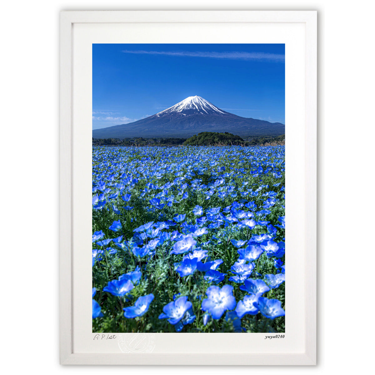 Blue World