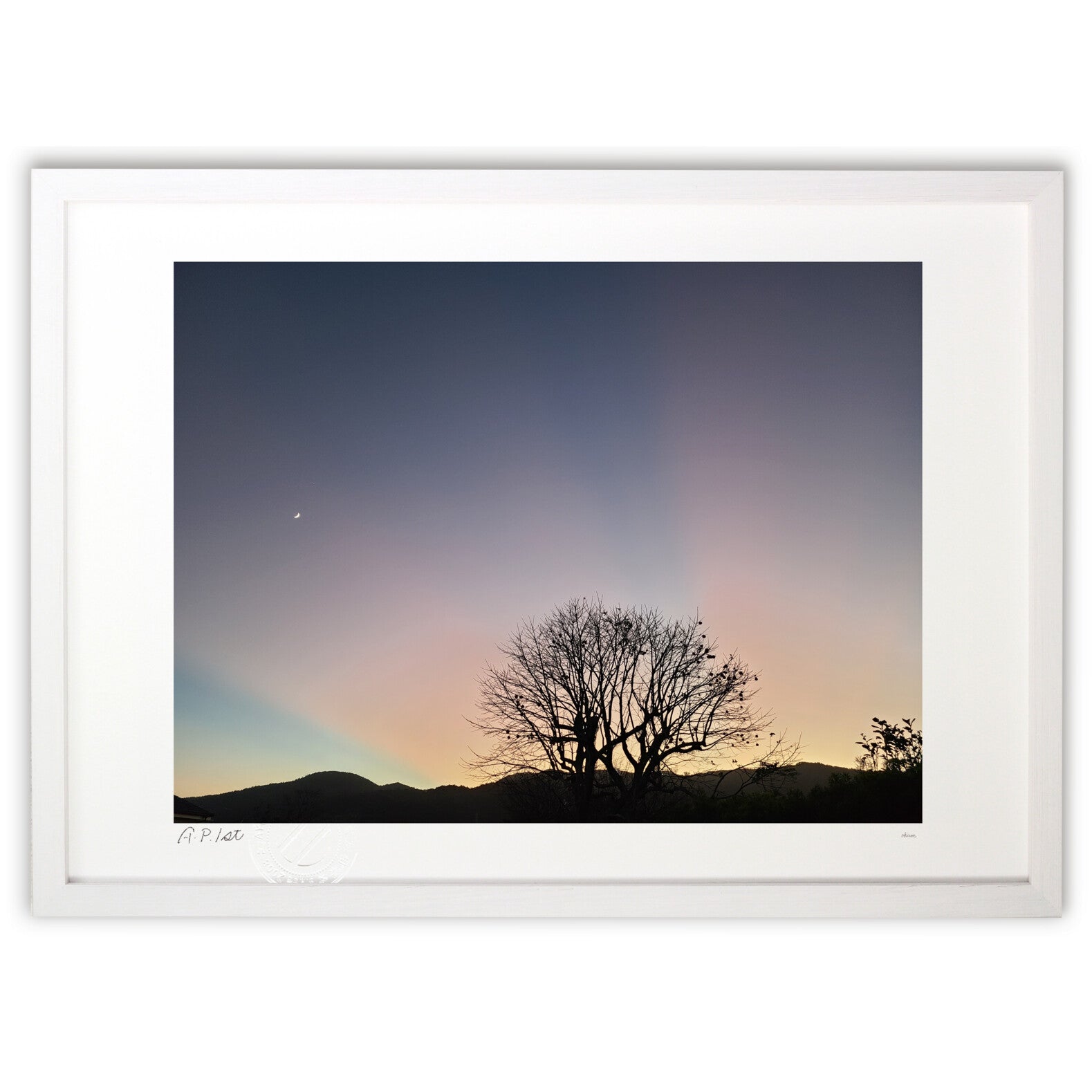 ヴェロニカロカシェヴィッチアートペイントベラルーシ