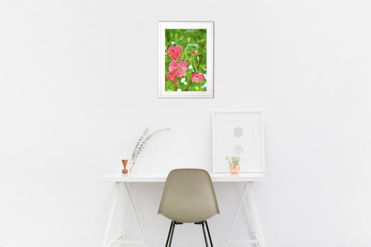 薔薇・アンジェラ