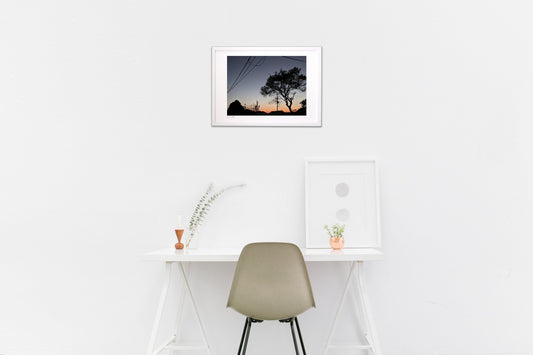 朝焼けと、つげの木