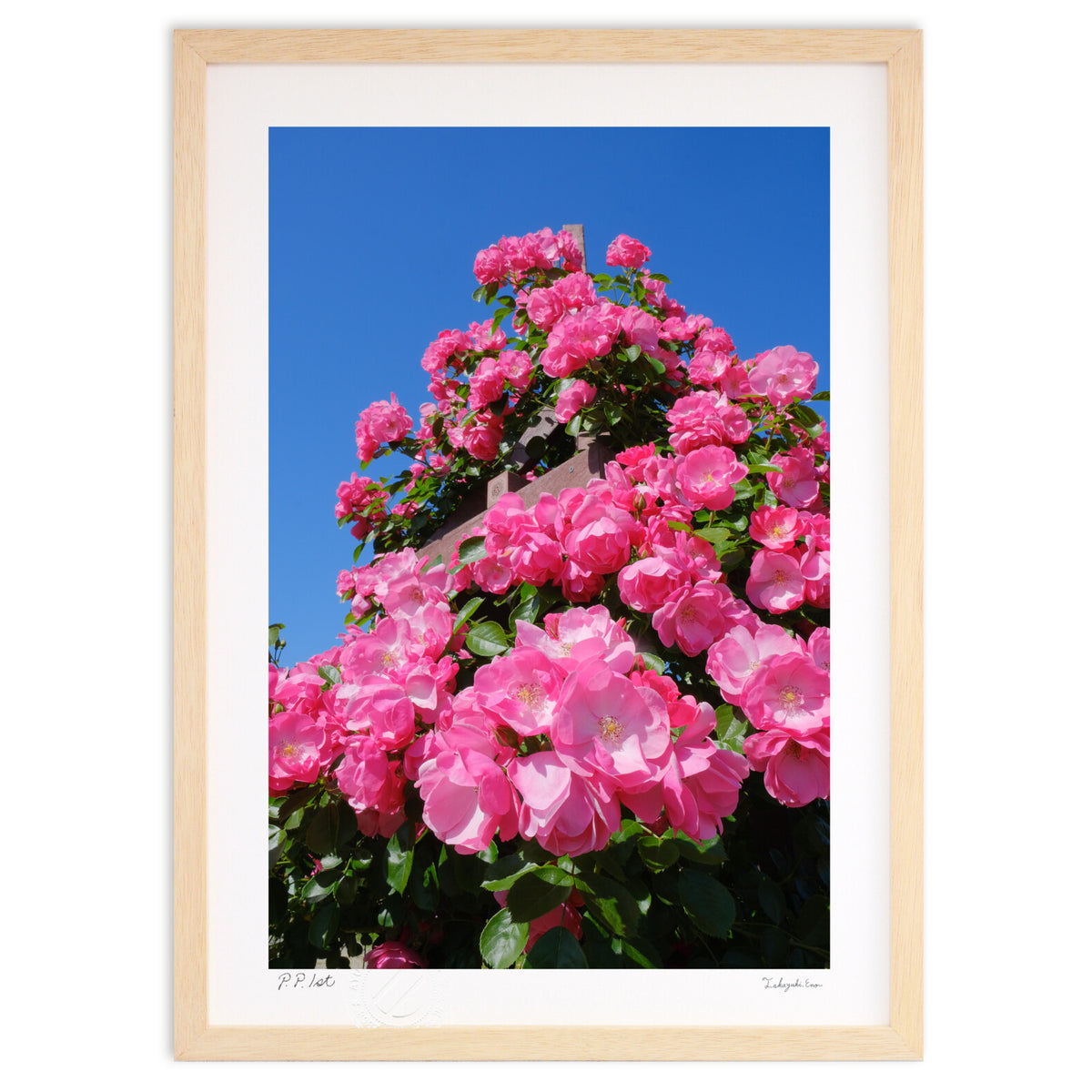 Rose tree