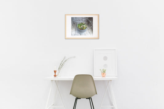 多肉植物のある風景②