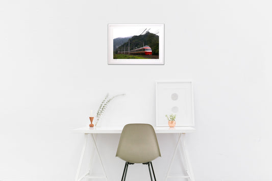 写真 特急「はこね」(横)