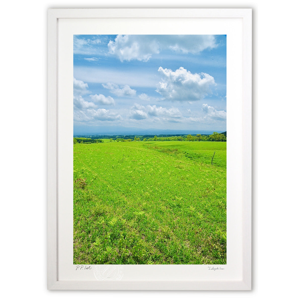 grassland