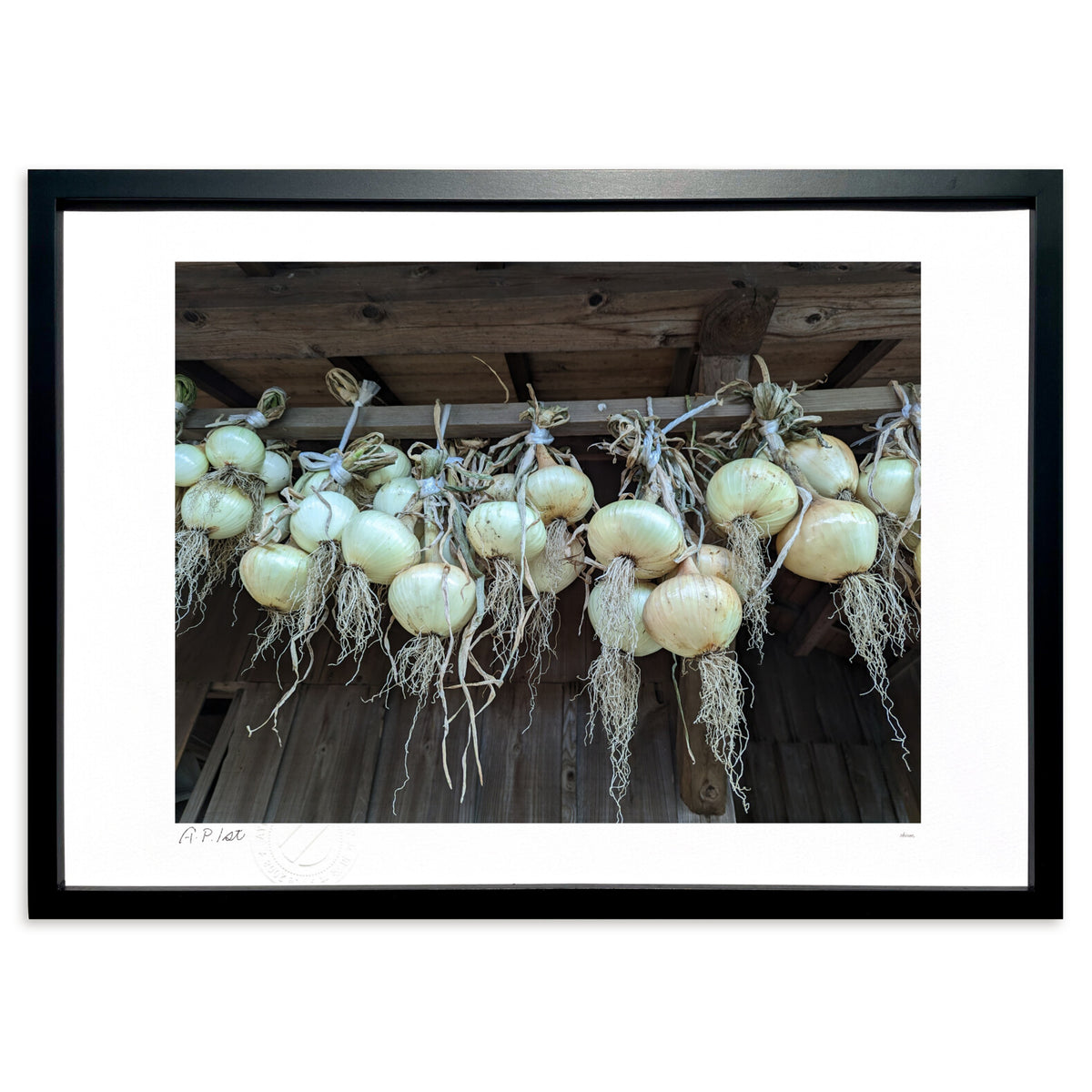 Onion.