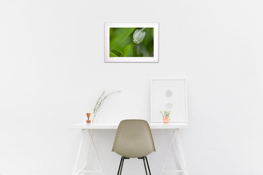 小さなツツジの世界