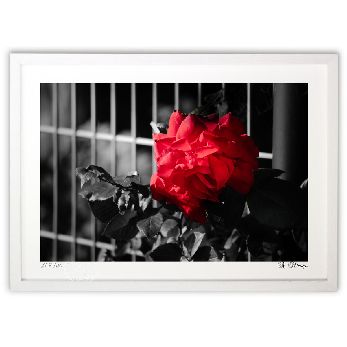 Rouge and Black