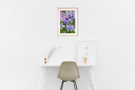 雨上がりのハナショウブ