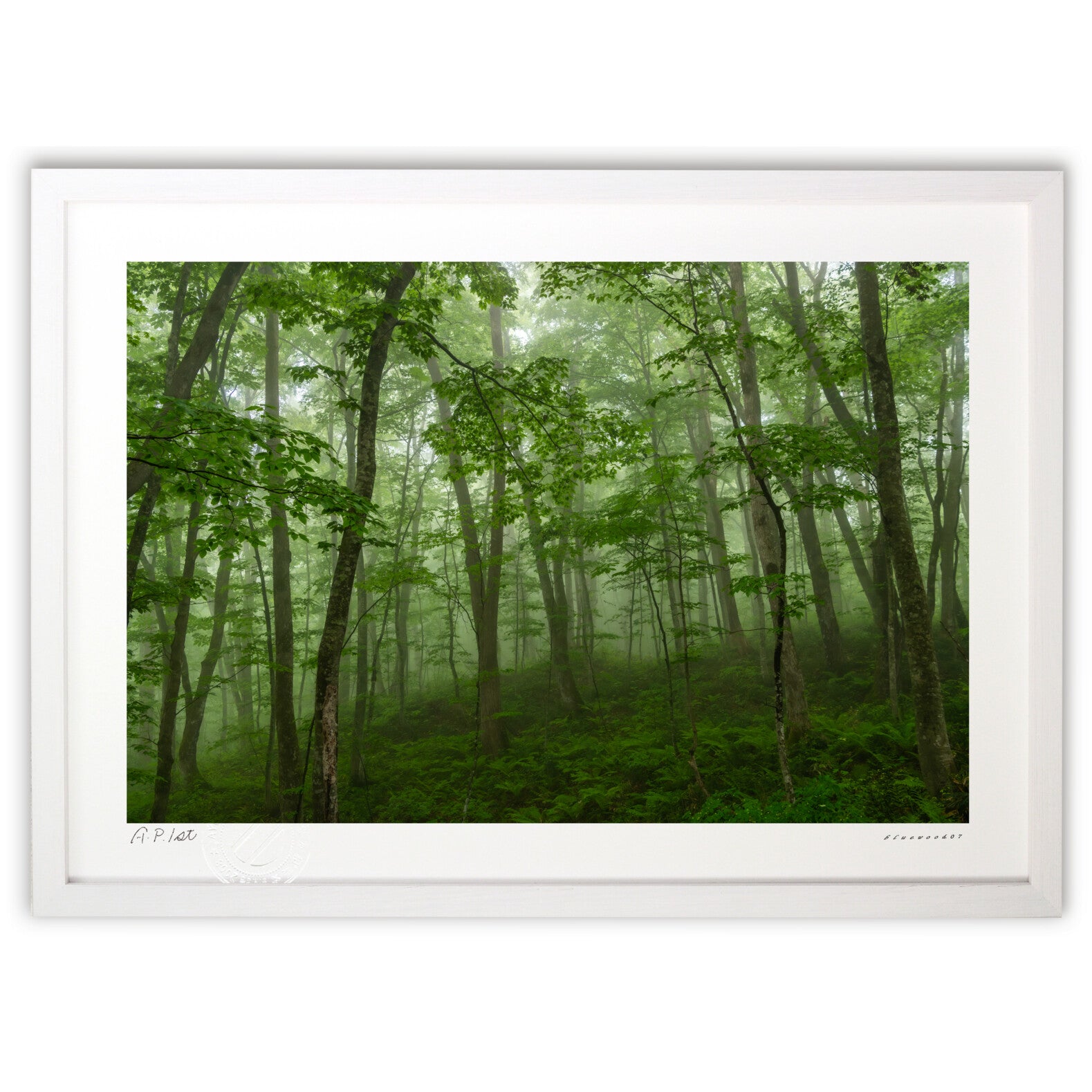 緑深き蔦の森 – 絵画や壁飾り販売｜風景投稿販売あゆわら(R)