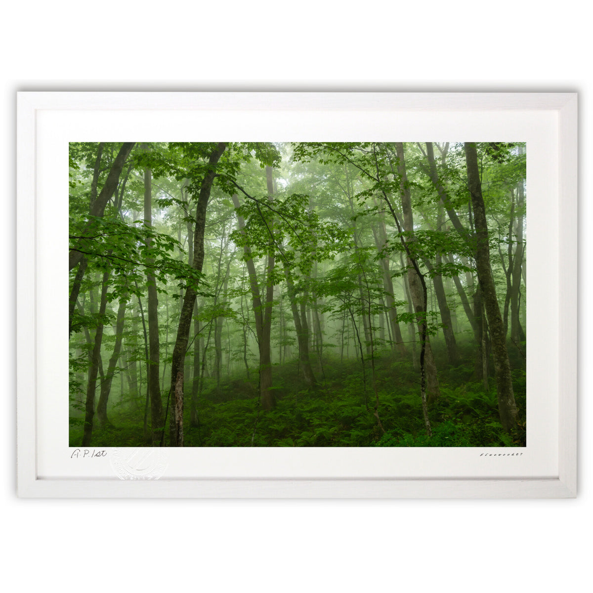 Deep green ivy forest