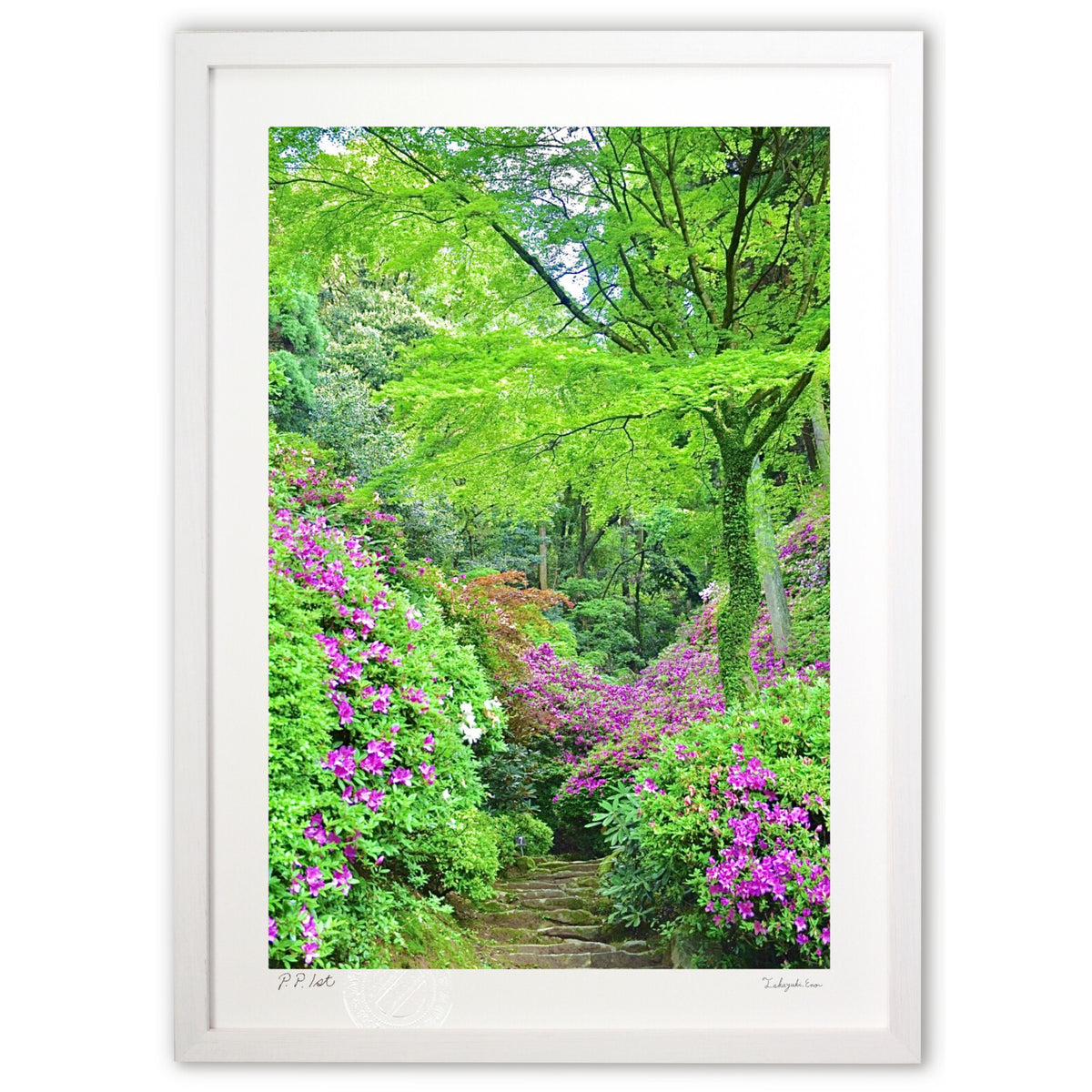 Azalea Forest