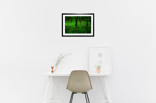 ヒメボタル飛ぶ