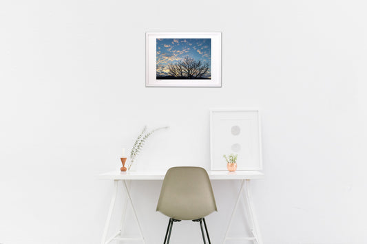 夕暮れの木立ち。