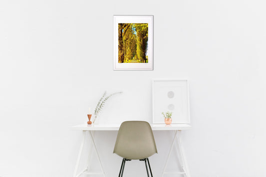 黄色いトンネル