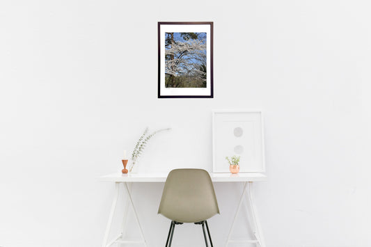 またこの場所で