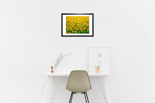 夏休みの情景 ひまわり