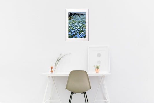 ネモフィラワイン