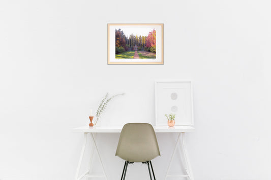 秋のグラデーション