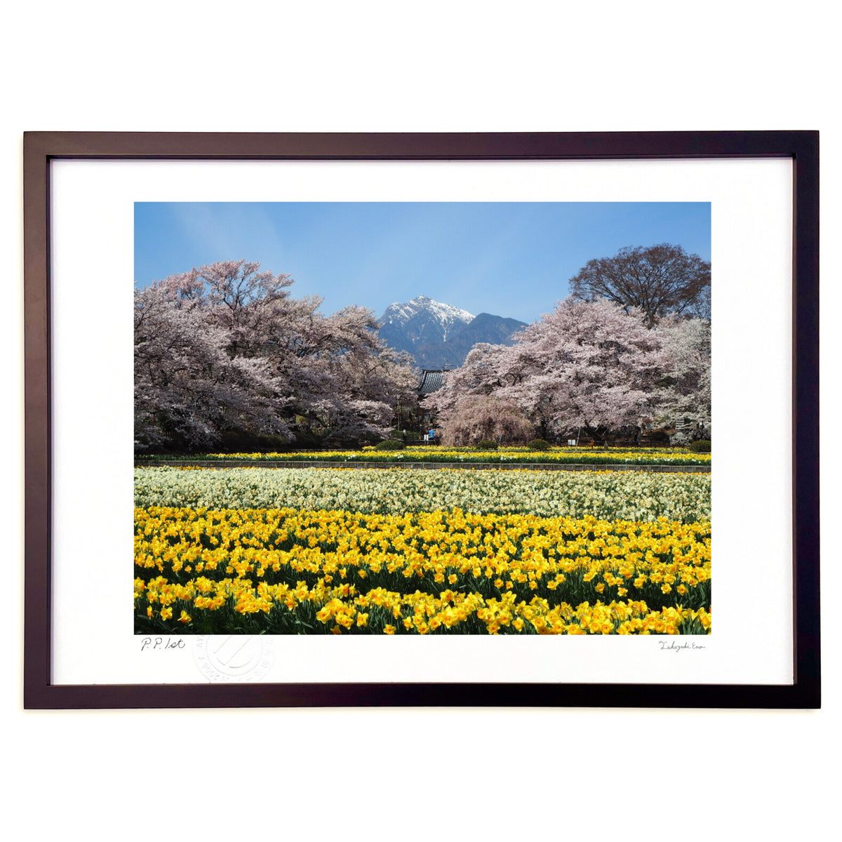 Mount Kaikoma in spring