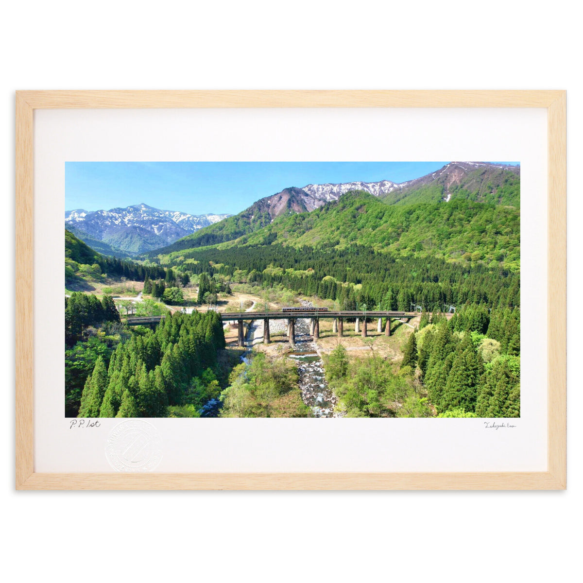 Railway bridge in spring