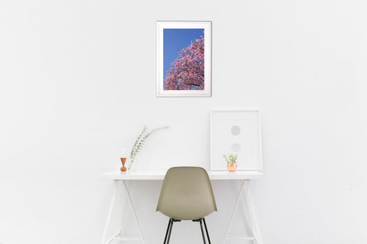 なにげない桜と空