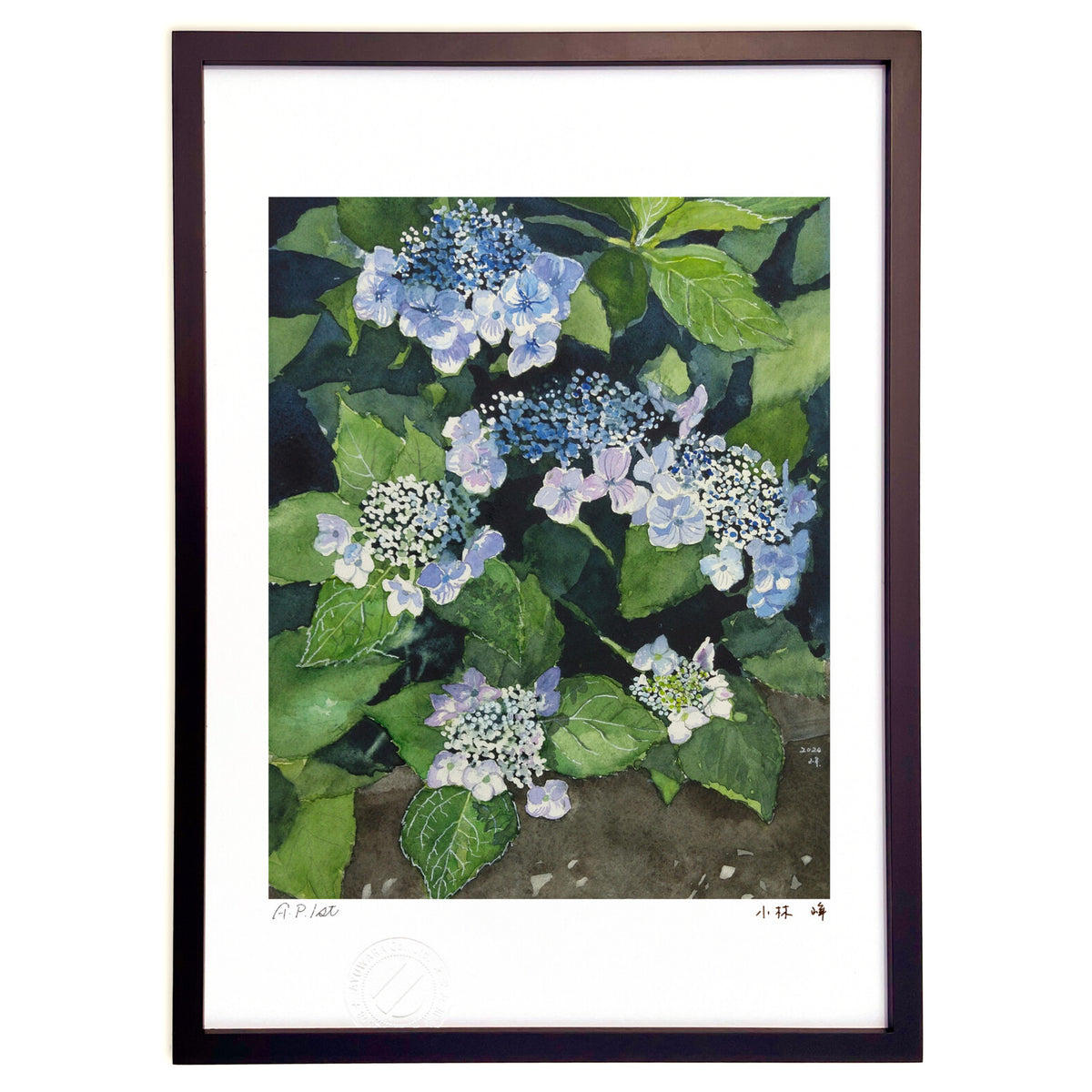 Forehead hydrangea