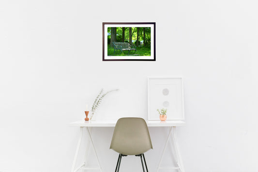 緑の中のベンチ