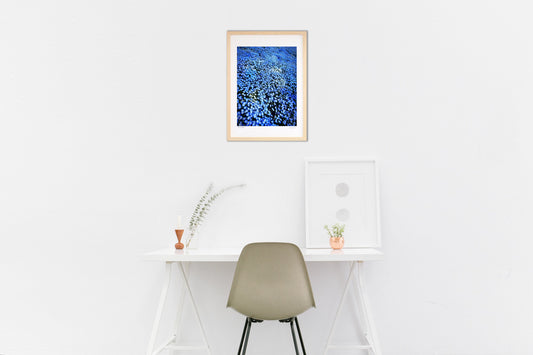 ネモフィラの青い海に包まれて