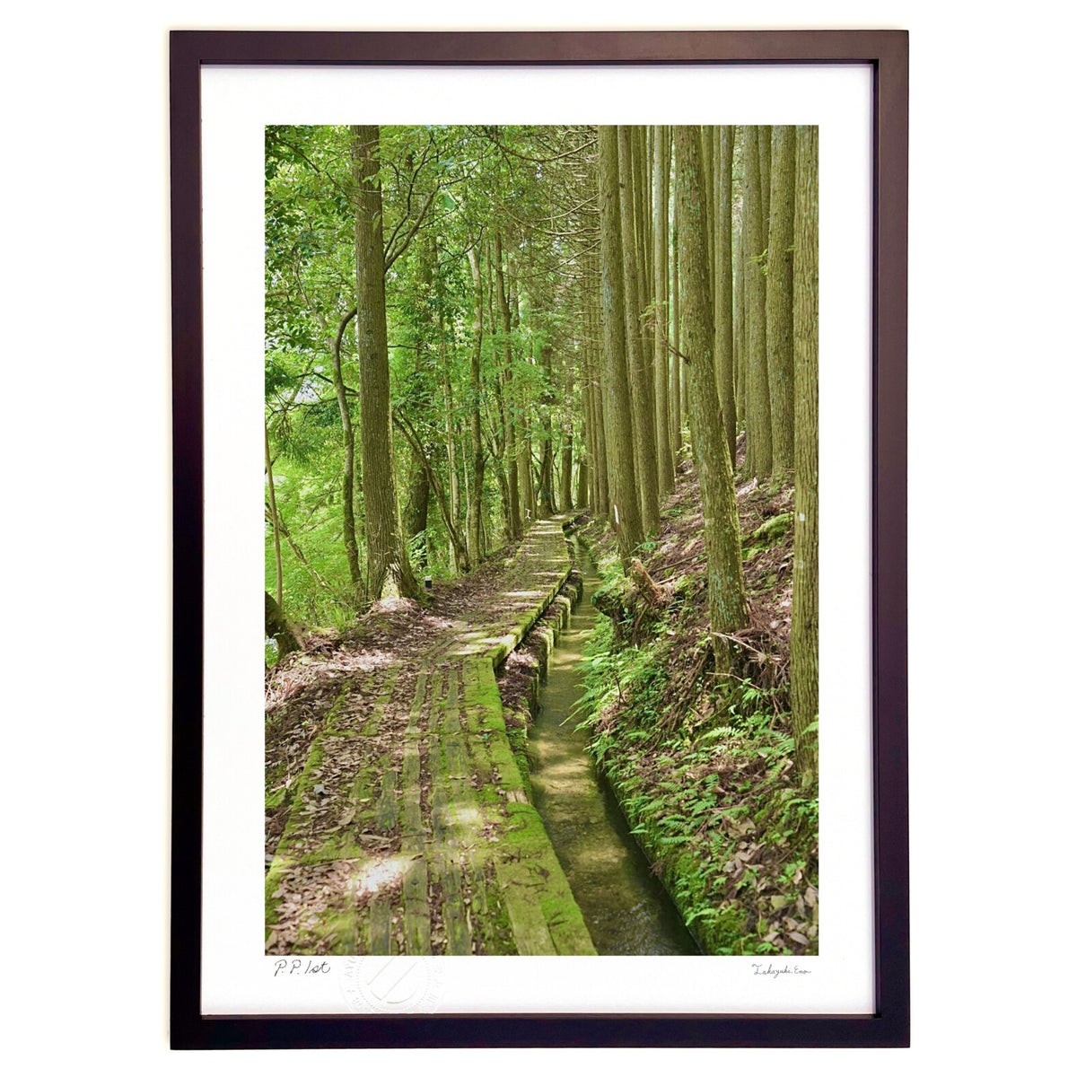forest road