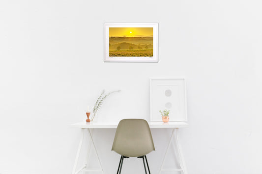 ラベンダー畑の日の出