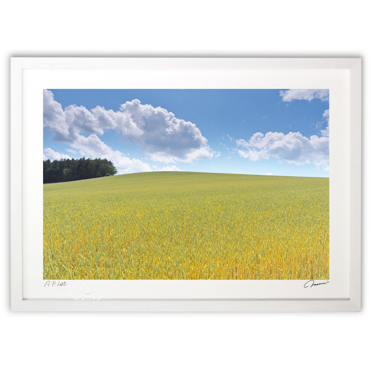 Wheat Hill