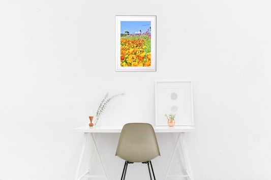 マリーゴールドとコスモス