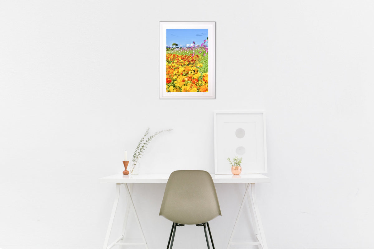 Marigold and Cosmos