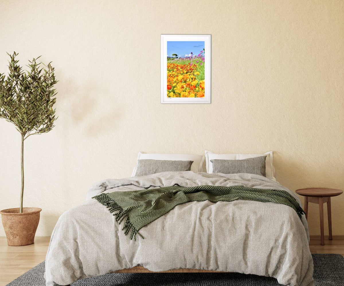 Marigold and Cosmos